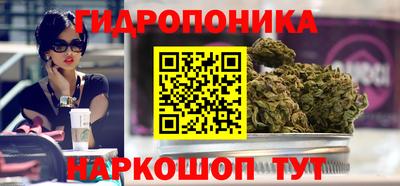 мяу мяу мука Канаш