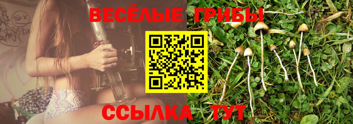 Галлюциногенные грибы GOLDEN TEACHER Верхняя Салда