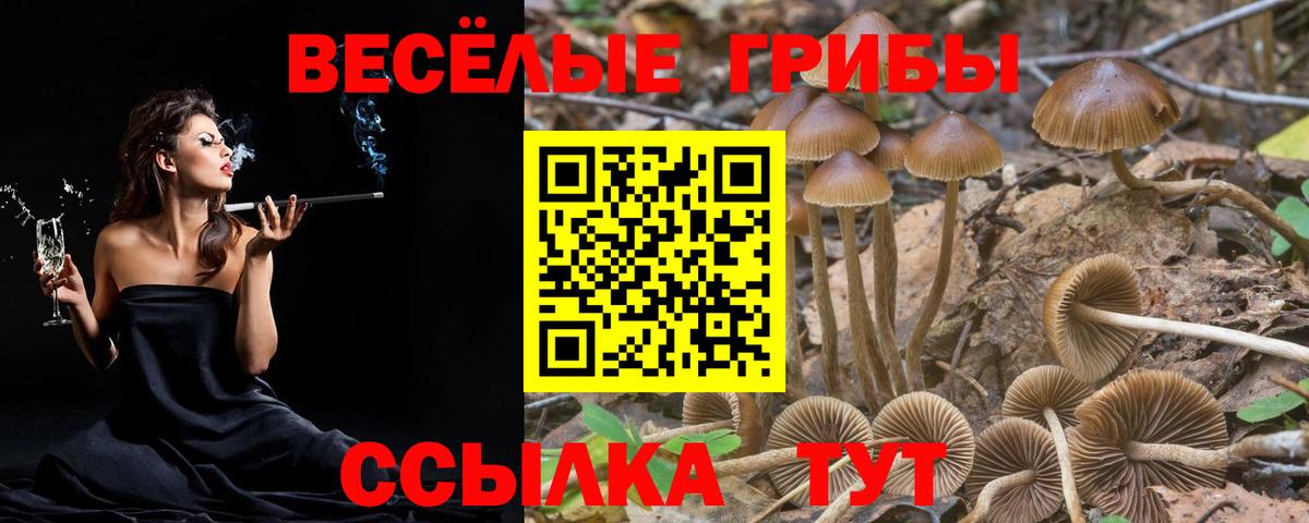 Верхняя Салда  Псилоцибиновые грибы Psilocybe  цены   Вход с VPN 